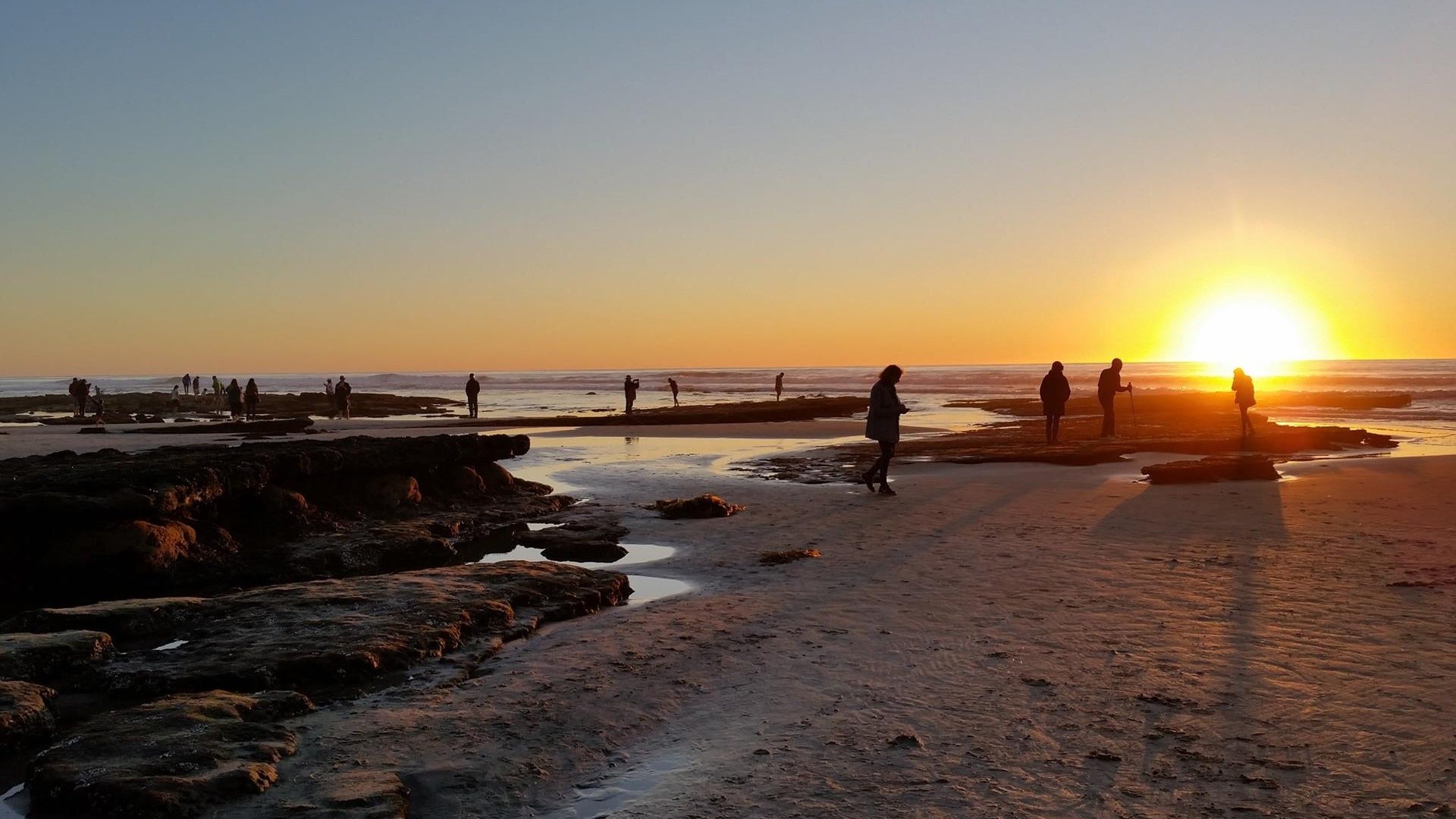 people tidepooling with sunset at the back and ocean