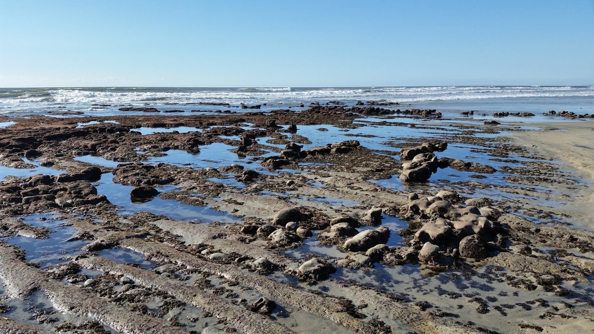 tide pools in the ocean