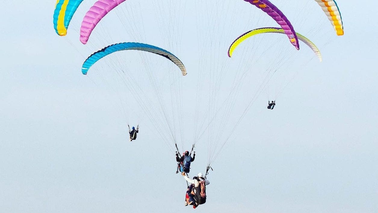 Torrey Pines Gliderport: Guide to La Jolla’s Most Scenic Launchpad