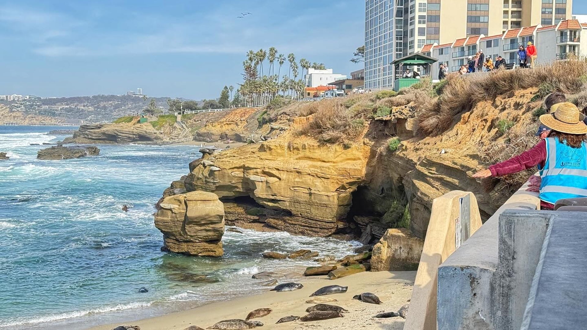 beach view with rocks, people sightseeing, and sea lions