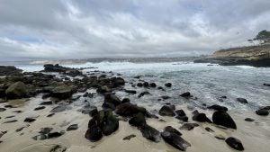 Rocky short with waves coming into a cove
