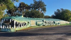 alligator installation with trees at the back