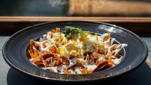 plate of food with garnish
