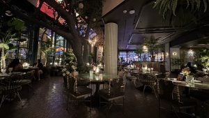 Interior of a glam restaurant and bar with velvet accents and greenery