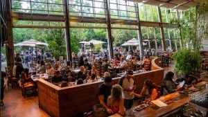 people in a restaurant dining and drinking, trees at the back