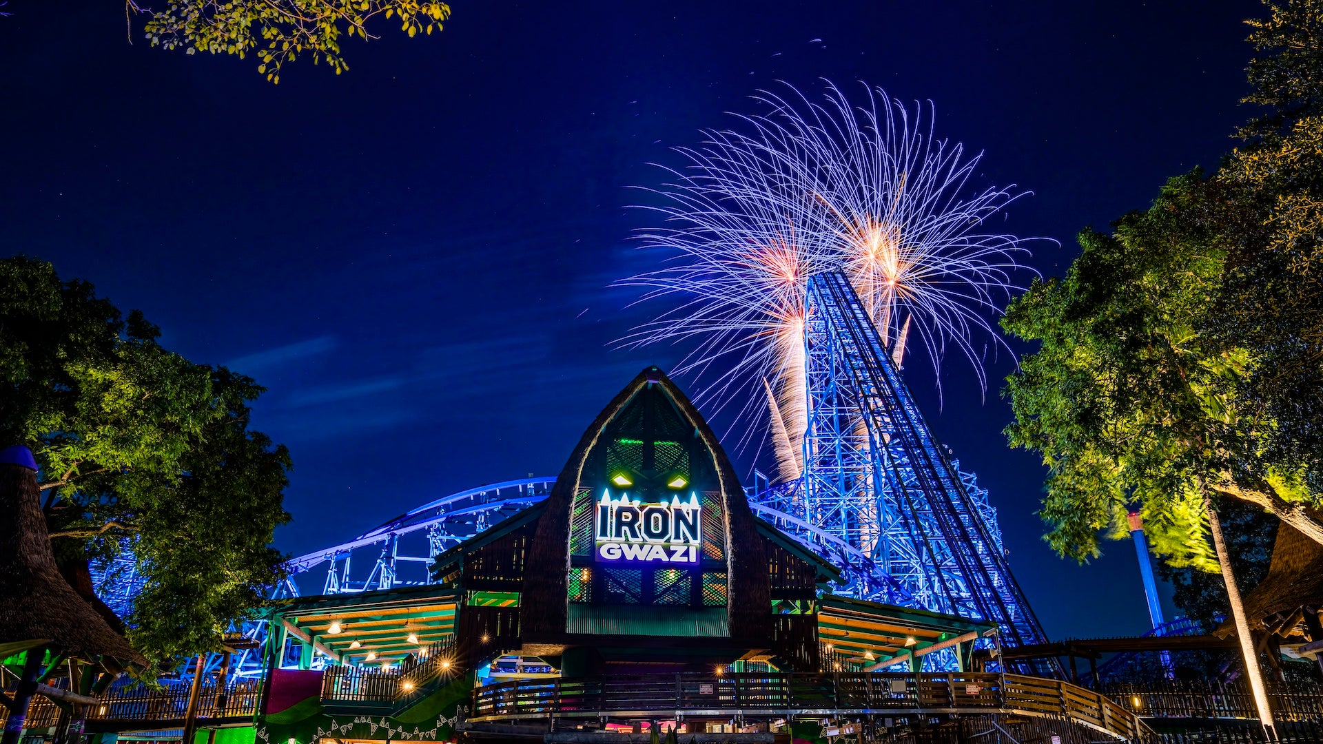 Fireworks bursting in the night sky over the Iron Gwazi roller coaster at Busch Gardens Tampa