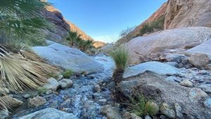 rocks with water in between