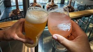 two glasses of beer held by two men