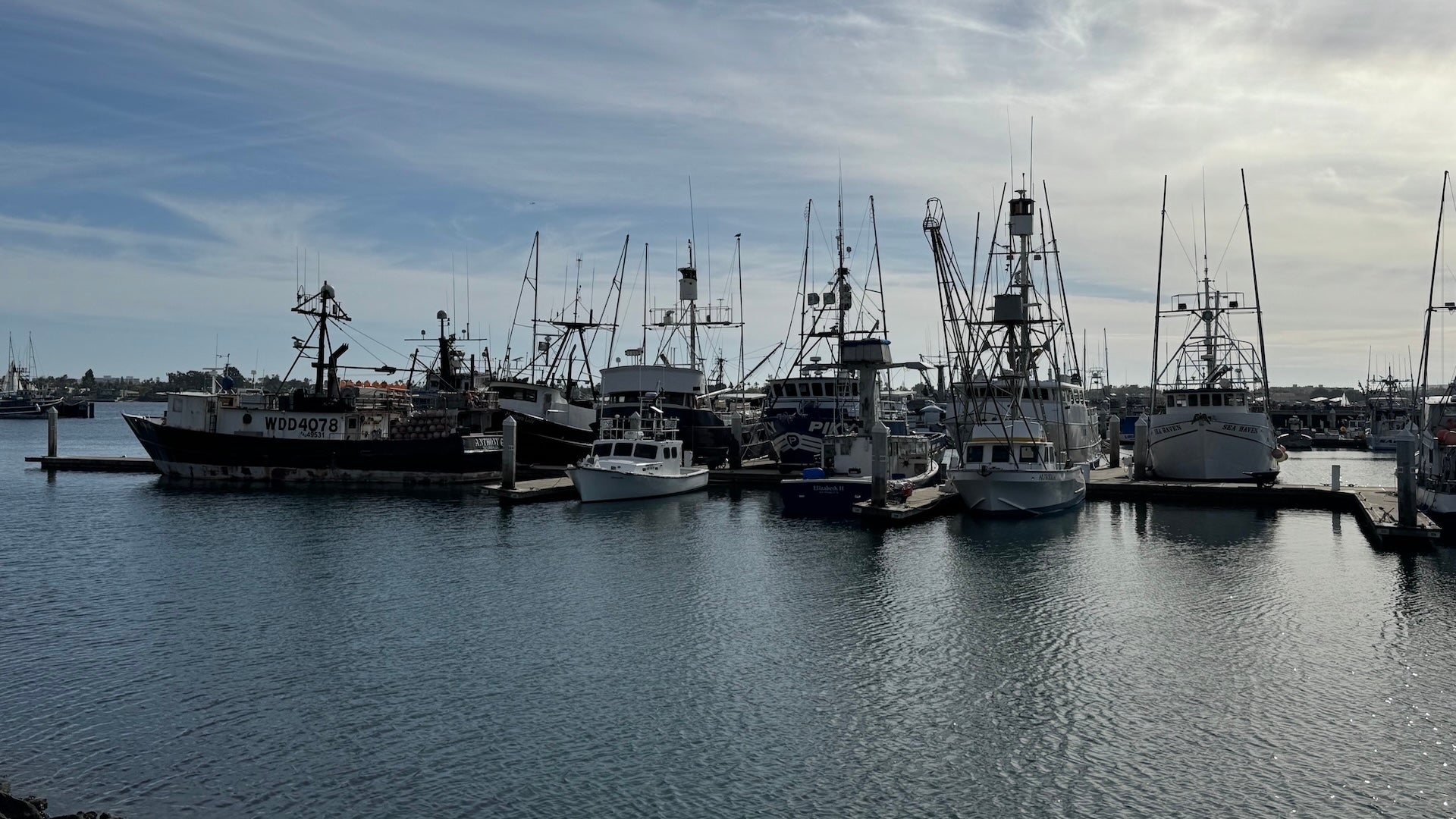 boats in the port