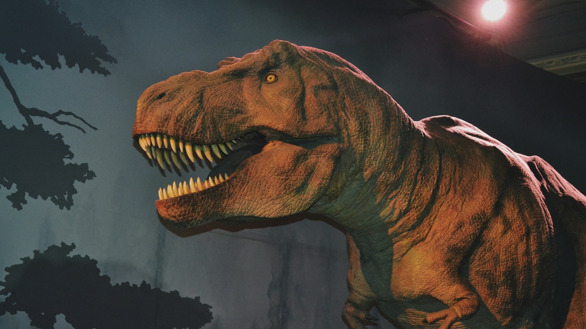 a dinosaur's head