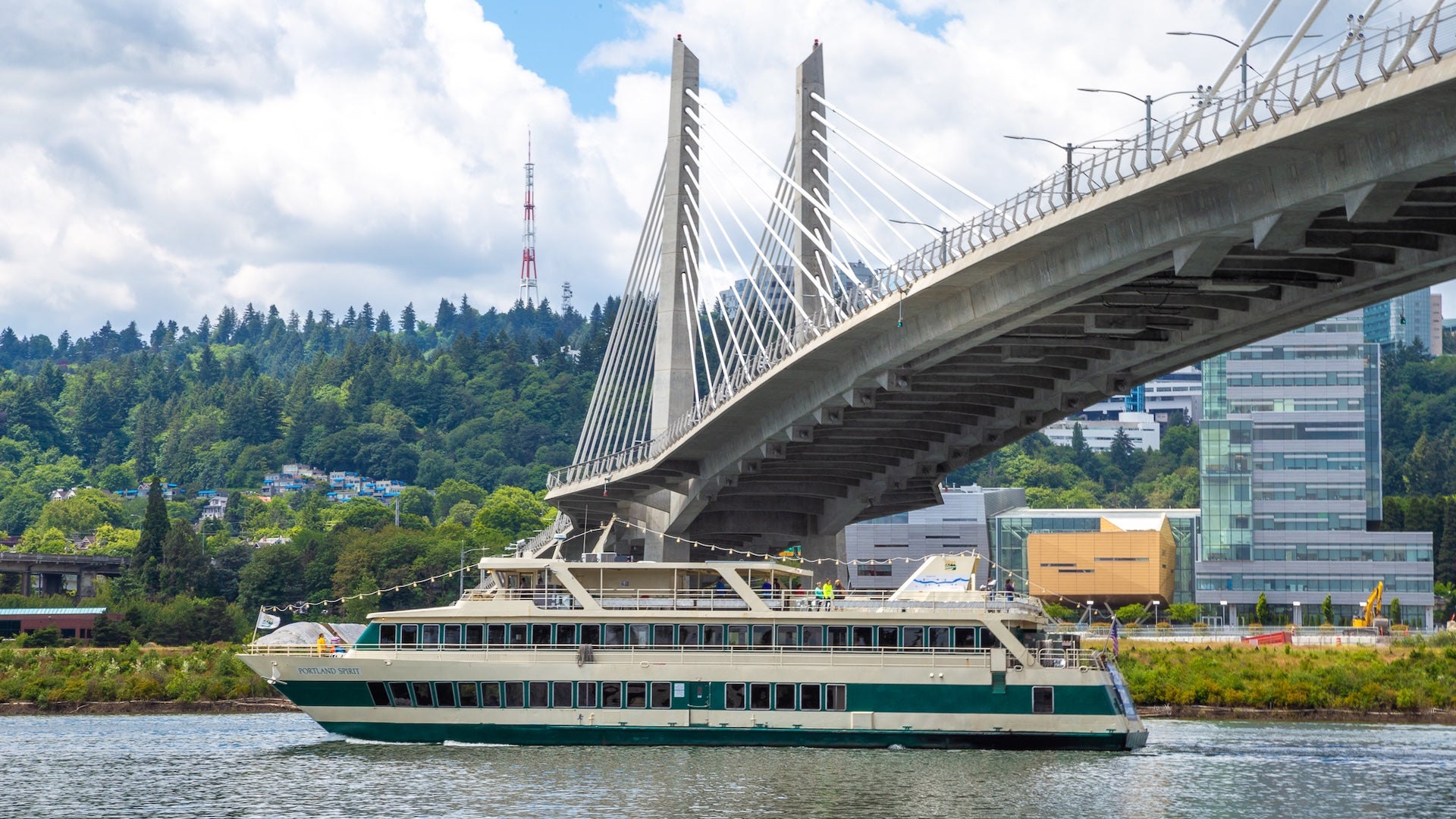 a boat below the bridge in a city with trees view