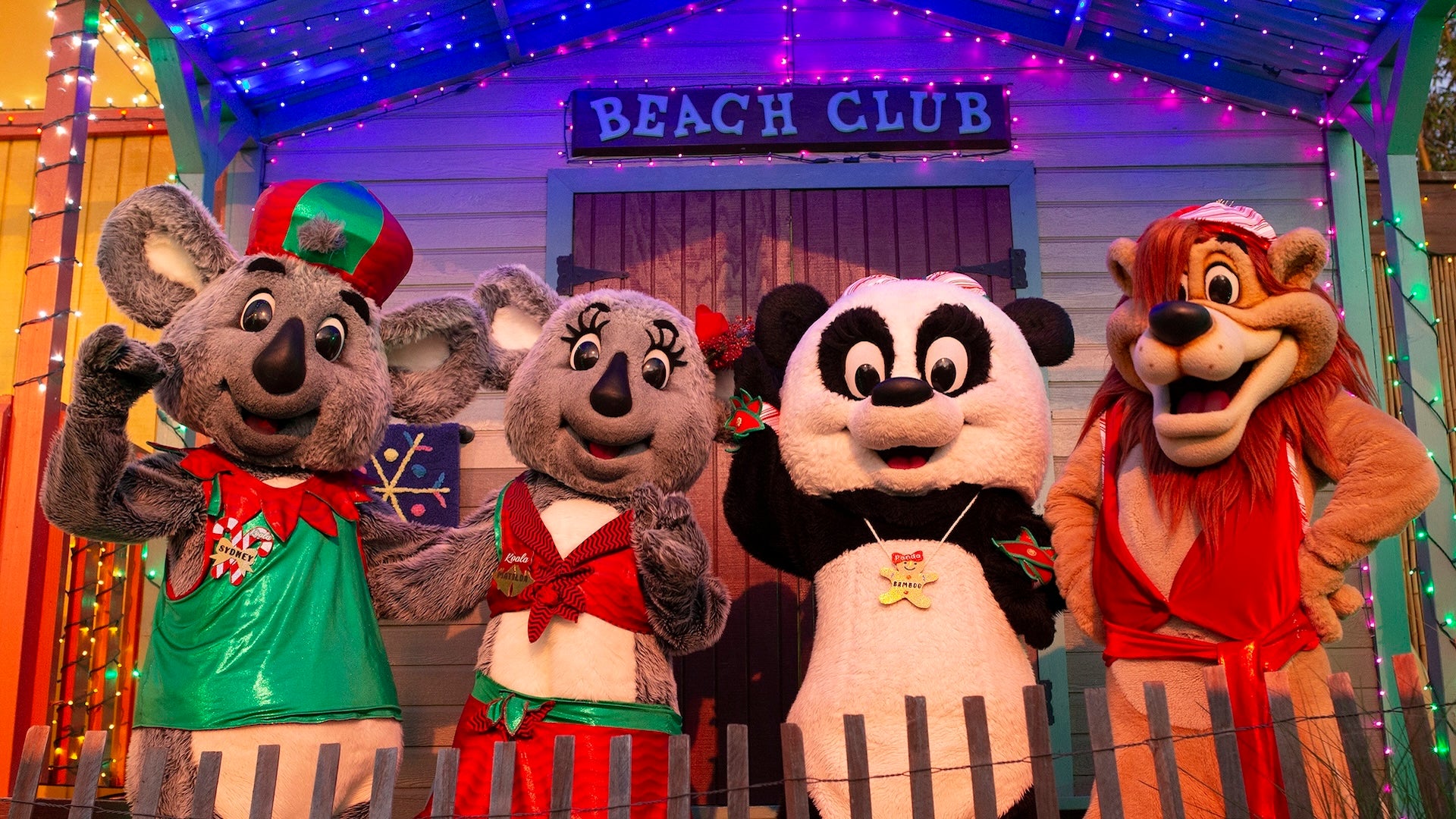 four characters: a girl koala, a boy koala, one panda, and a lion