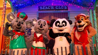 four characters: a girl koala, a boy koala, one panda, and a lion