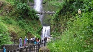 Multnomah Falls scenic waterfall in Oregon
