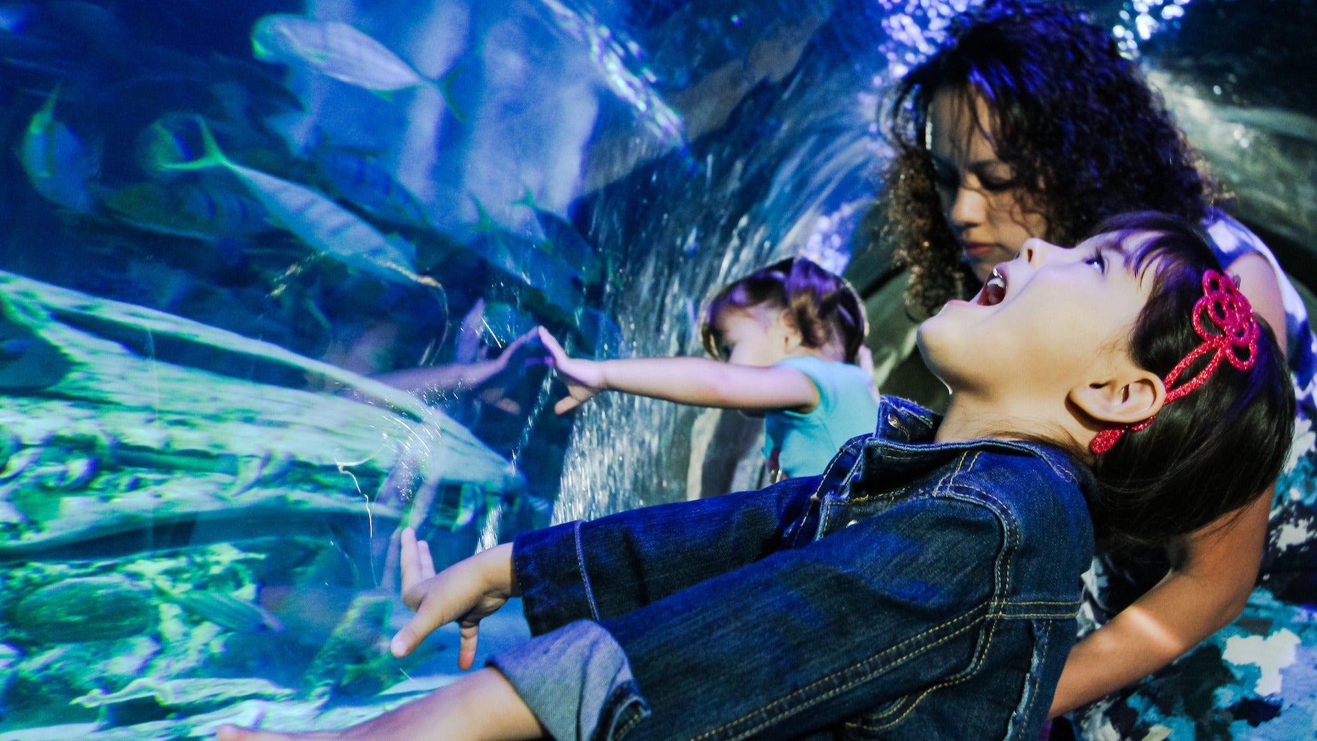 young kid fascinated by an aquarium
