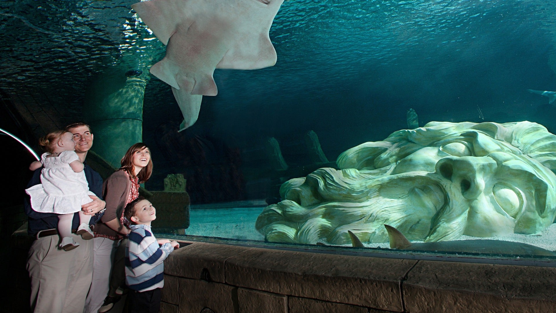 family staring out at an aquarium with a statue