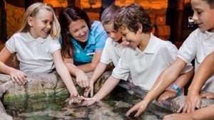 aquarium employee in a touch pool with kids
