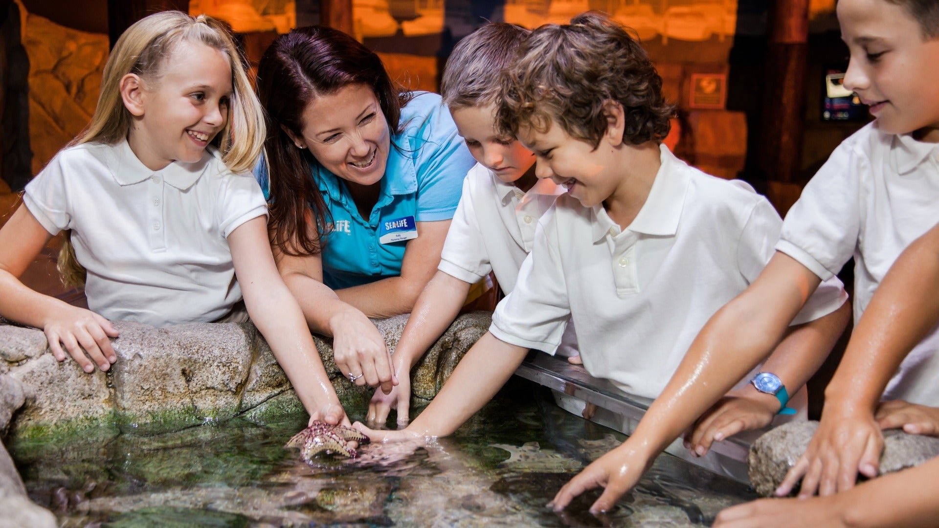 aquarium employee in a touch pool with kids