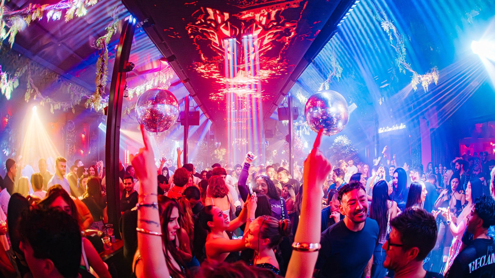 people dancing in a club
