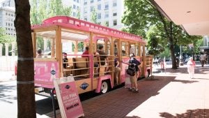 pink bus filled with tourists