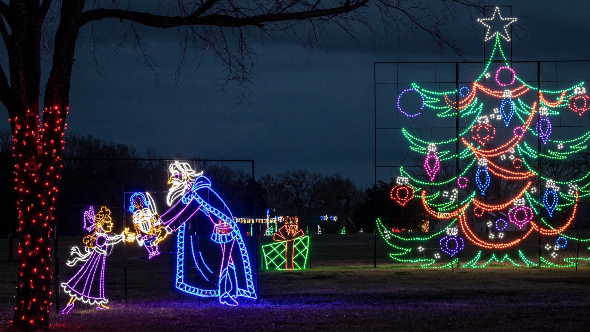 outdoor christmas lights display