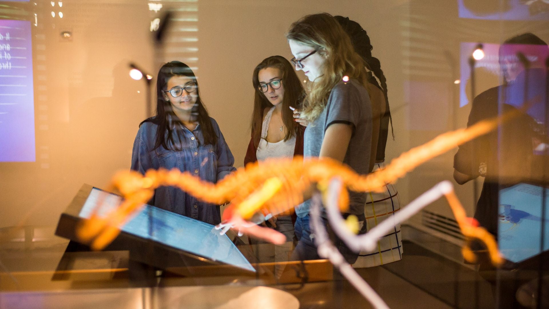 people looking at a screen in a museum