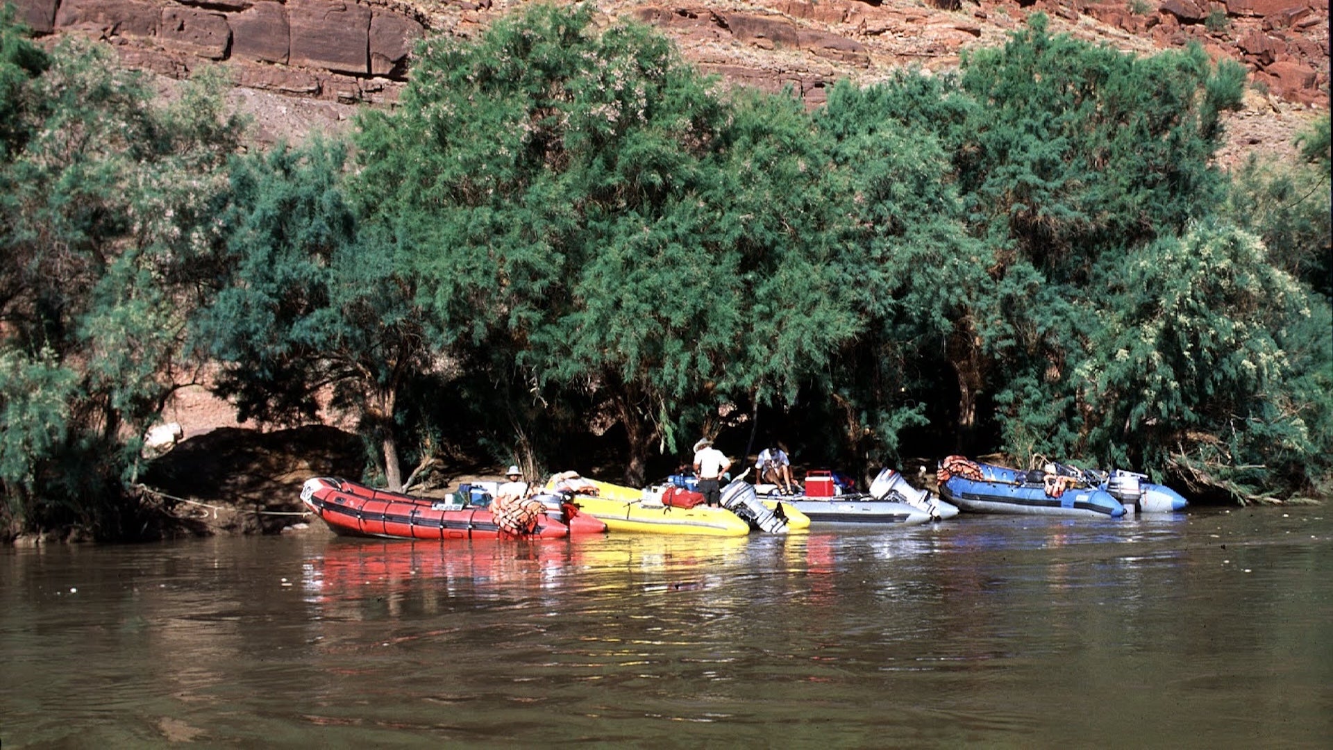 speedboats parked in a river