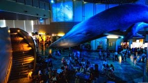 aquarium facility with large whale display and people on the ground