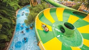 people swimming in a waterpark with slides