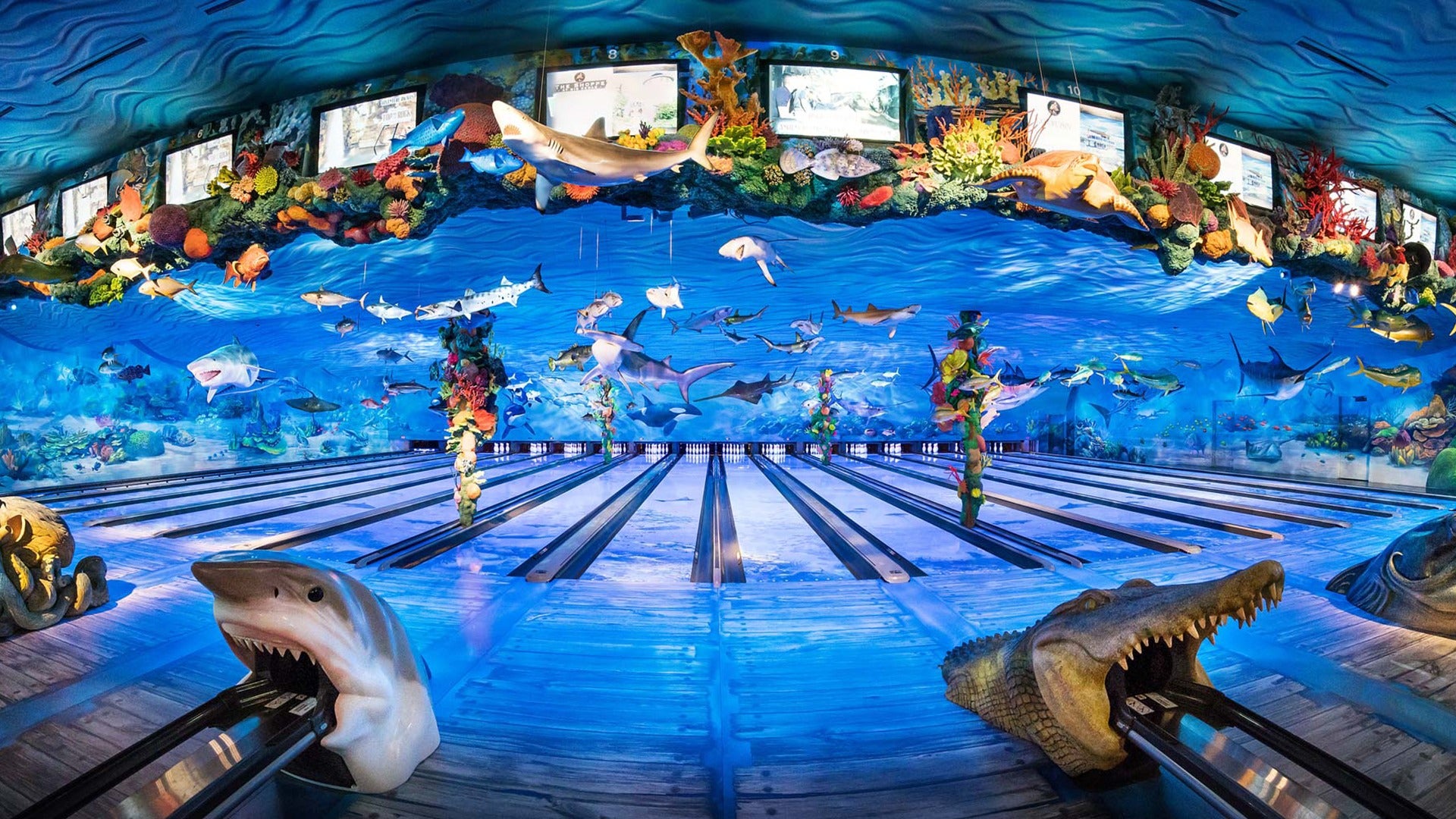 a bowling alley with lots of aquatic creatures display