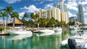 boats docked on the harbor, palm trees at buildings at the back