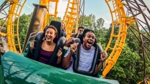 people riding a roller coaster