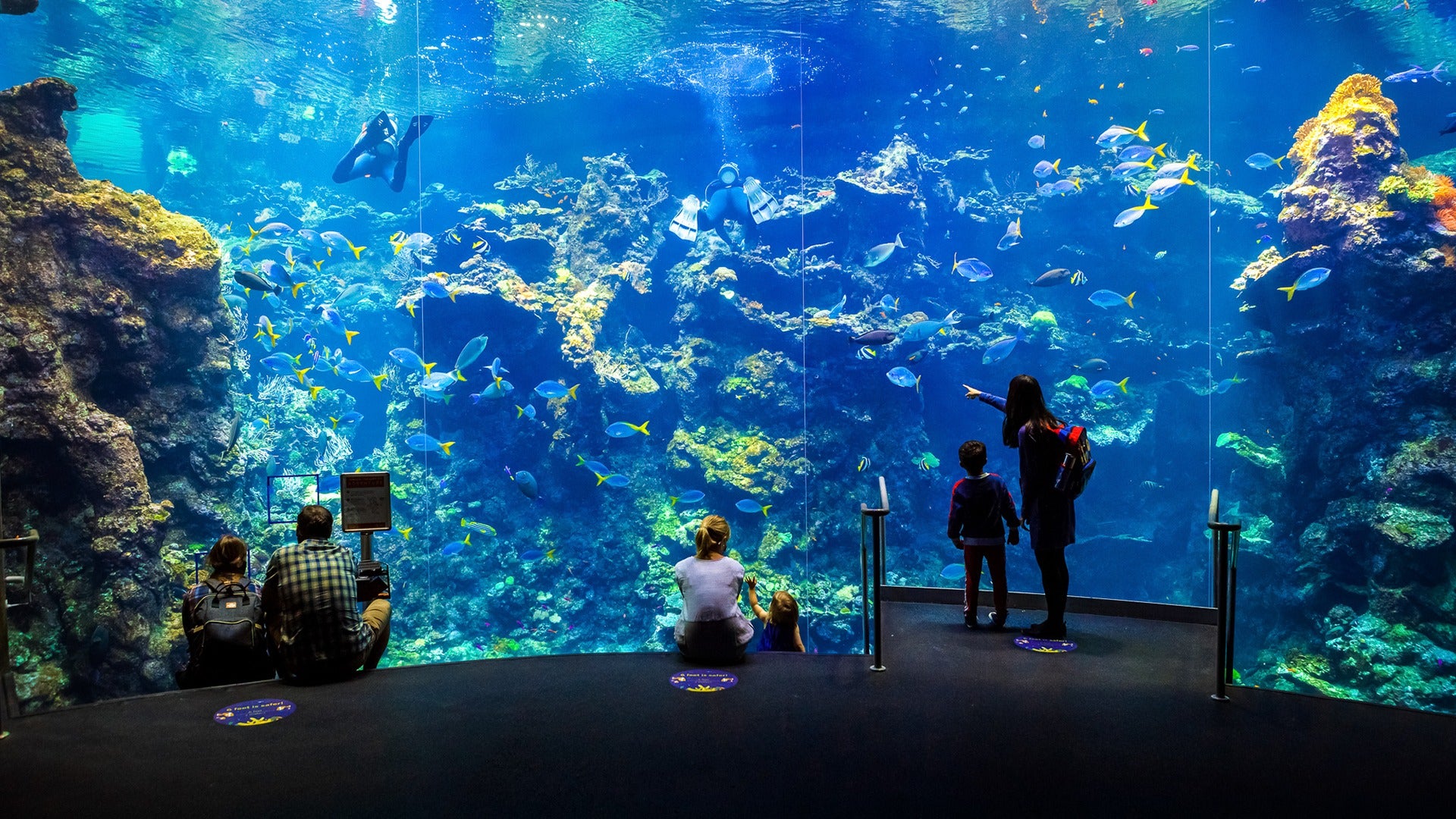 people in an aquarium staring at the fish and marine life