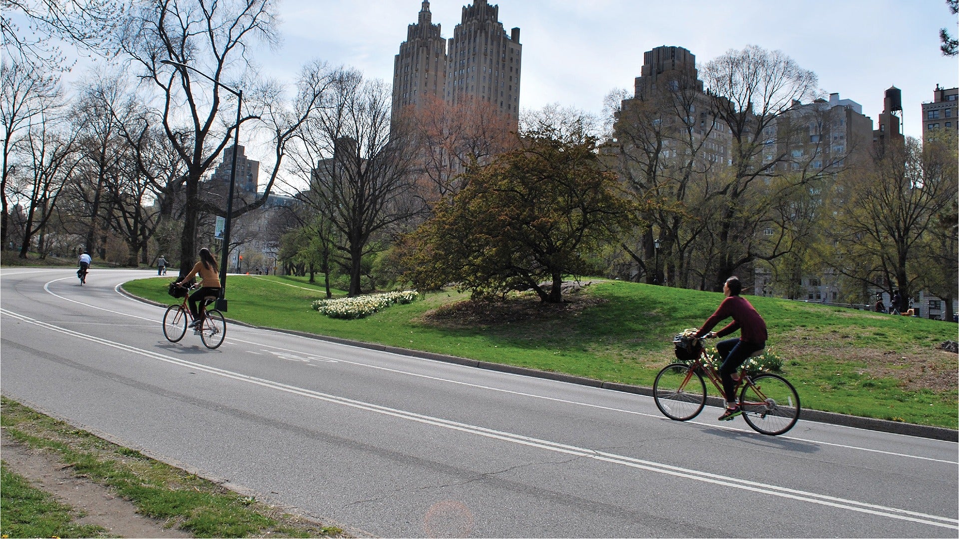 people biking in central park