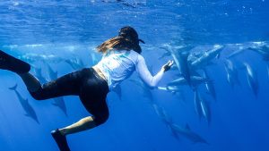 a woman swimming with dolphins