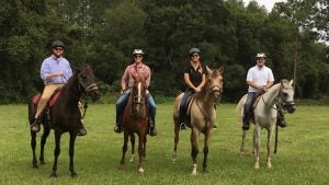 people riding horses with trees at the back