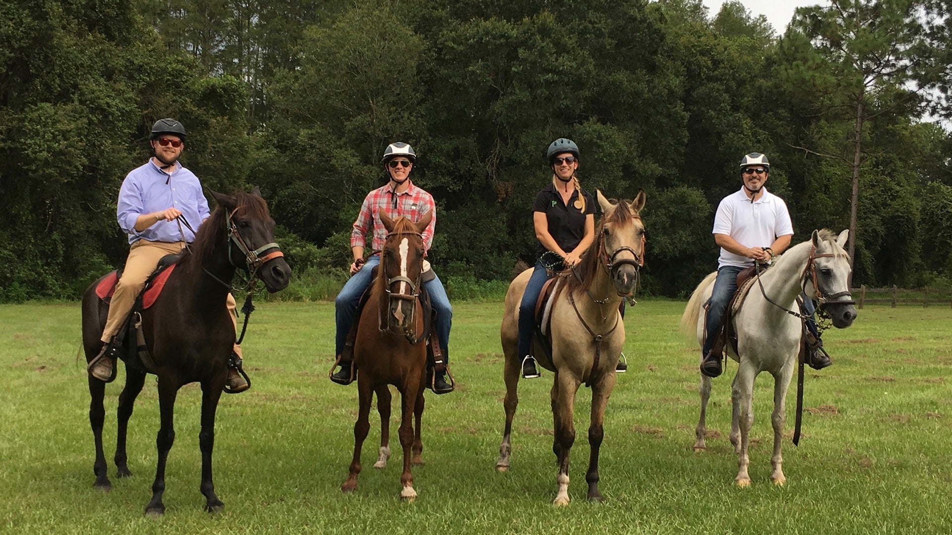 people riding horses with trees at the back