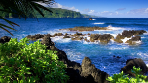 ocean waves slamming against rocks, plants surrounding the shore