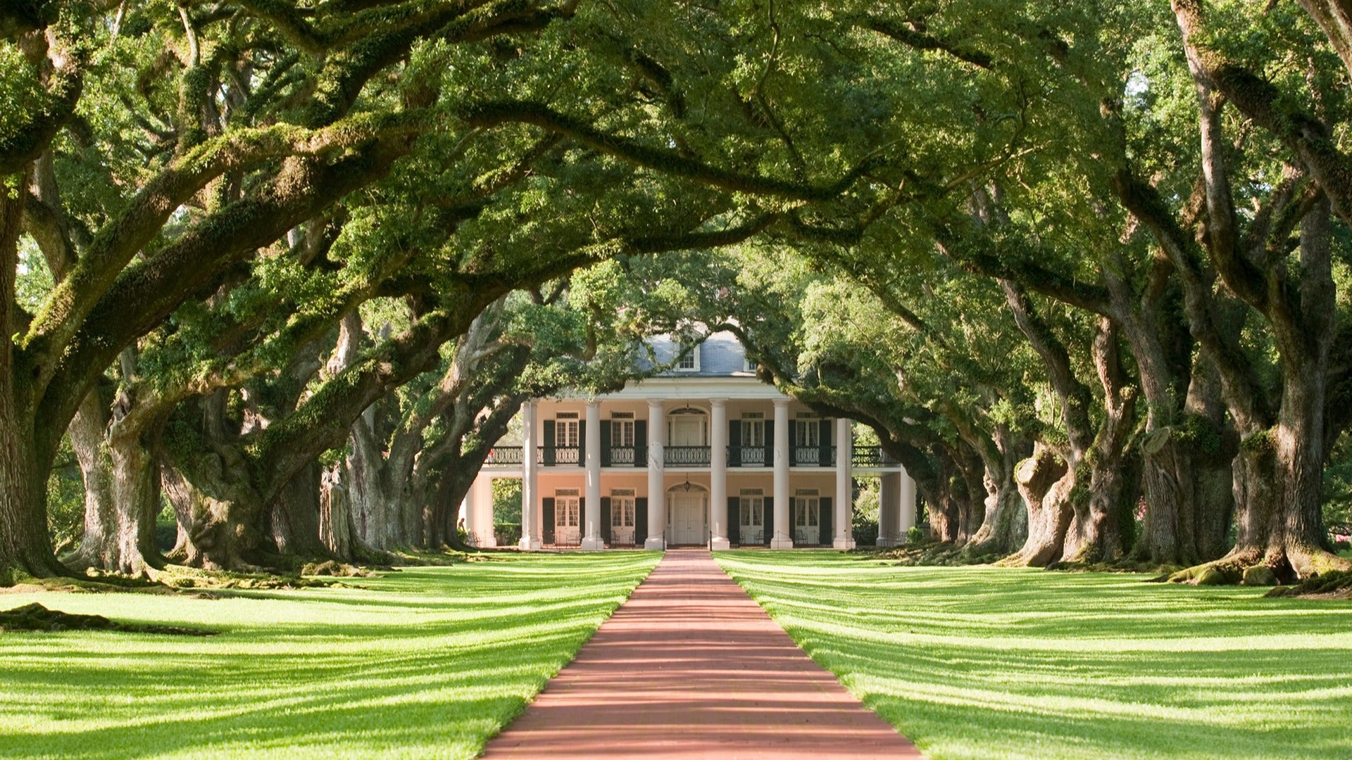plantation house surrounded by oak trees