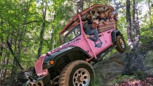 people riding a pink jeep in a forest off road adventure