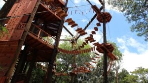 zipline adventure with rope courses