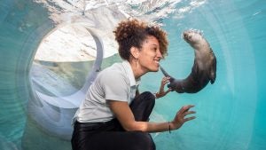 a girl with a baby otter