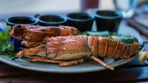 lobster seafood served on a plate with sauces