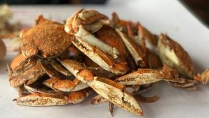 a plate of seasoned seafood crabs