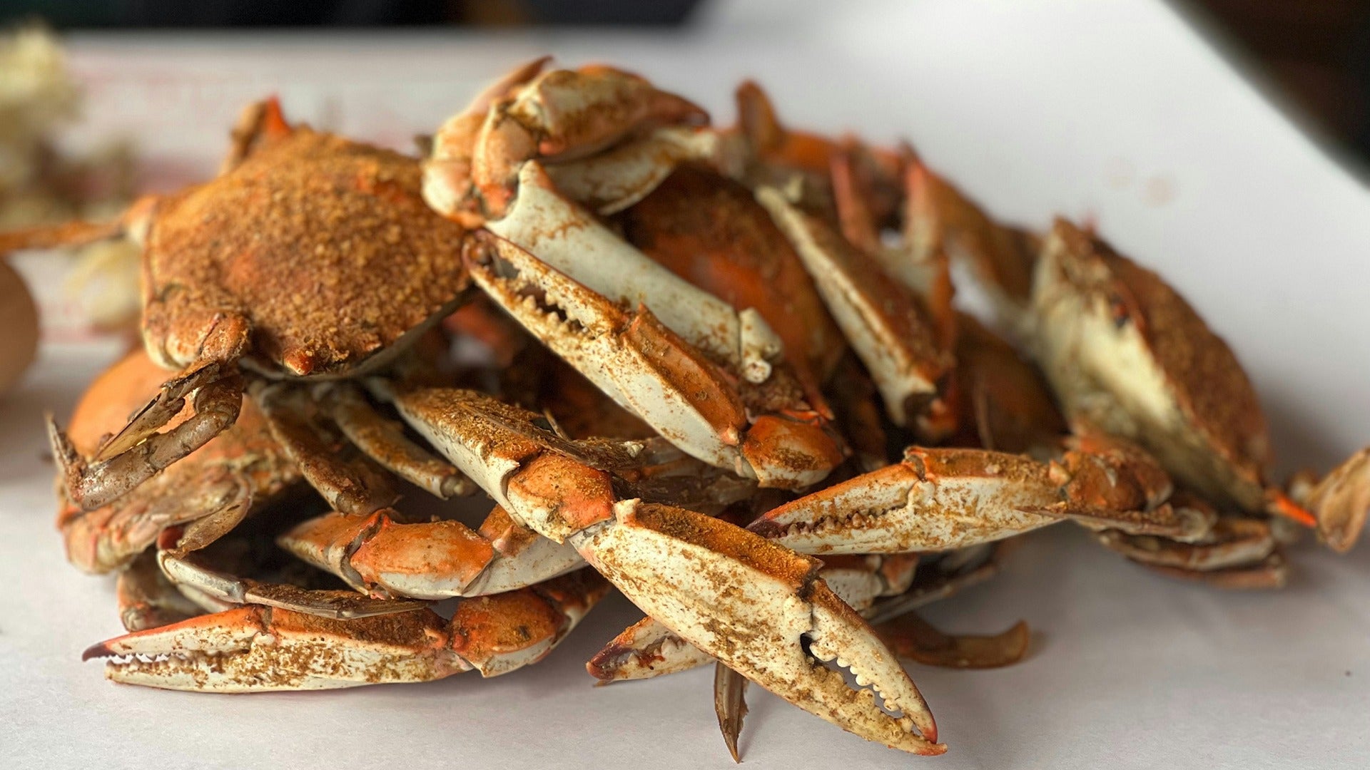a plate of seasoned seafood crabs