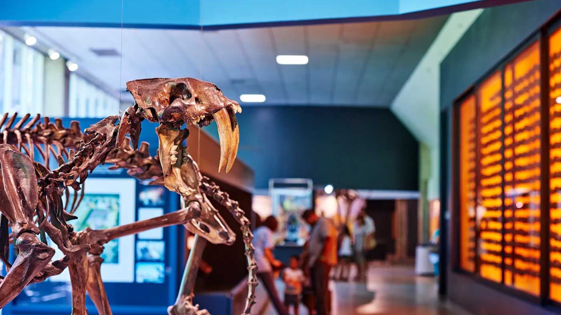 fossil on display with family at the back