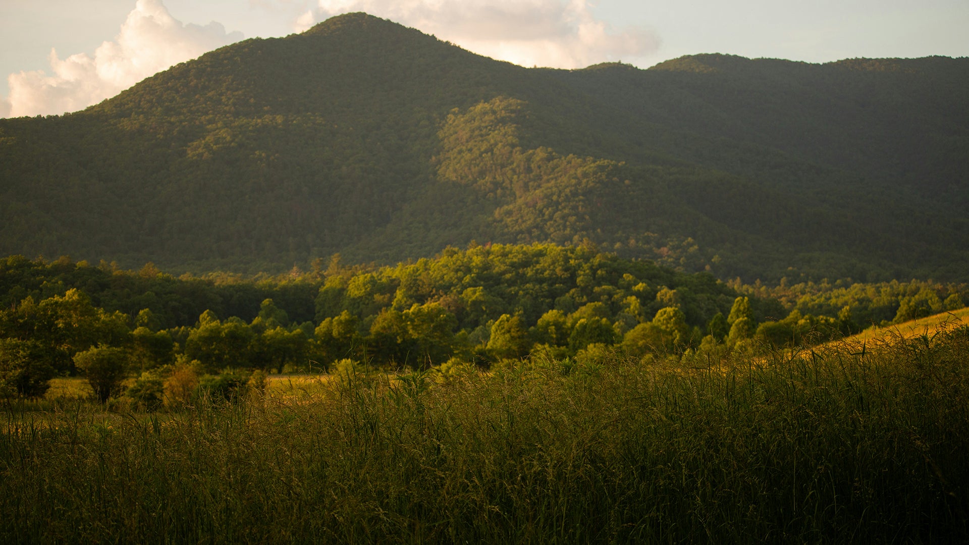 a mountain and a grass field