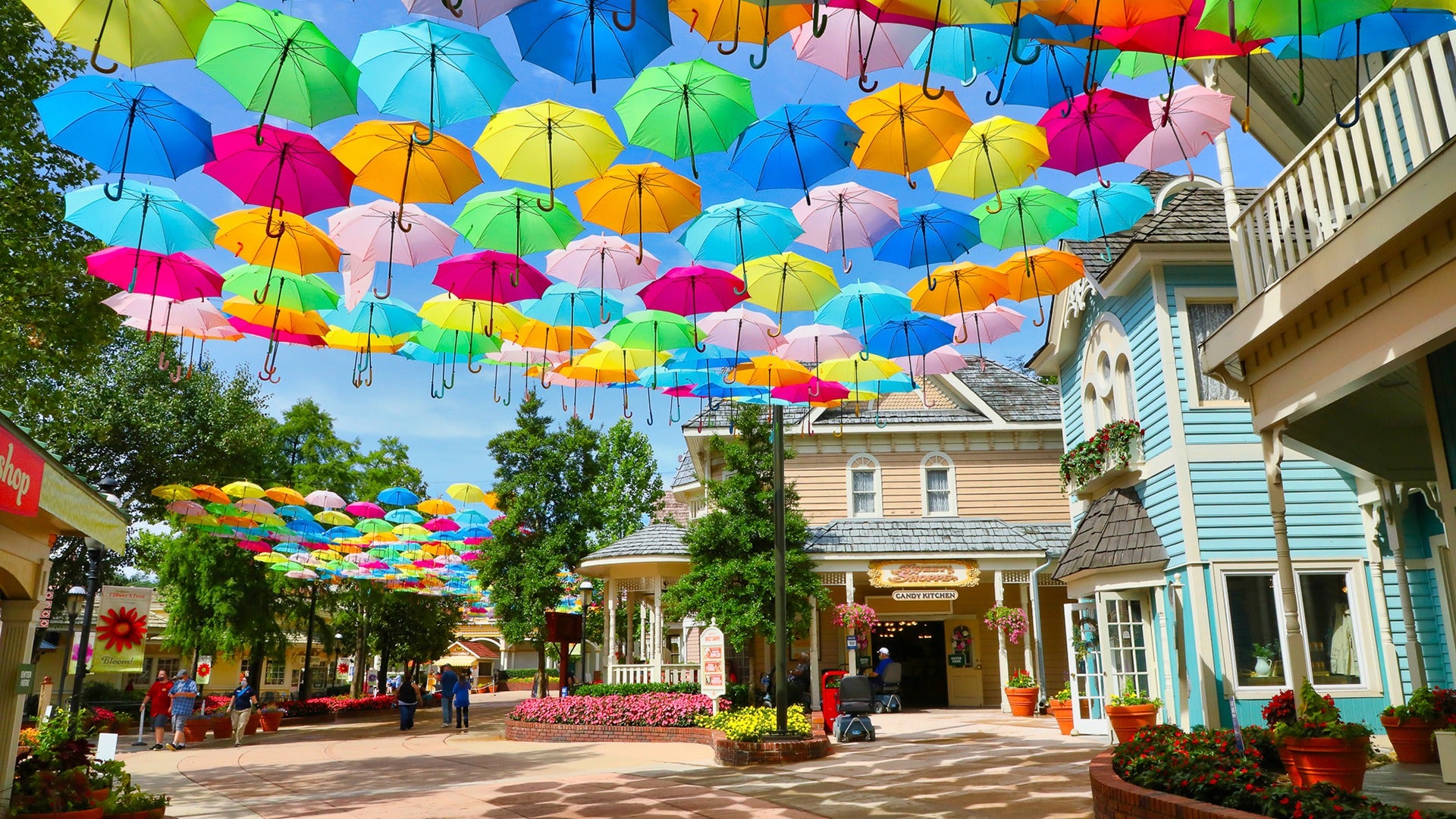 colorful umbrellas lining a pathway with equally colorful buildings around it