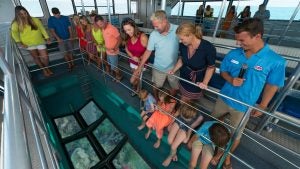 people looking through a glass window at the bottom of a boat