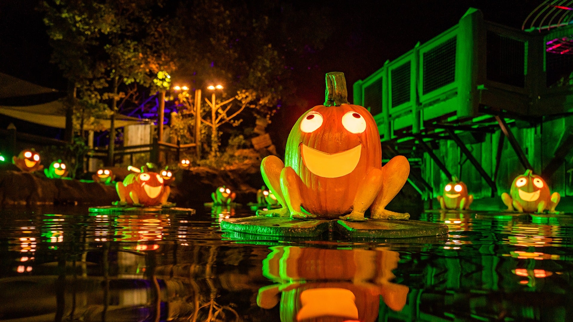 pumpkins sitting on a lotus at night